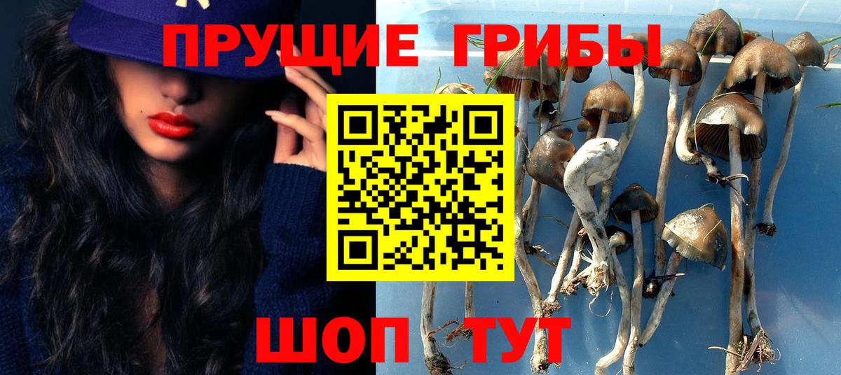 Галлюциногенные грибы Cubensis  Вход с VPN  Пенза 