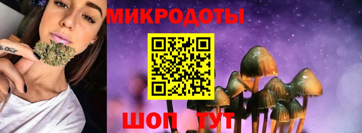 Галлюциногенные грибы MAGIC MUSHROOMS Пенза
